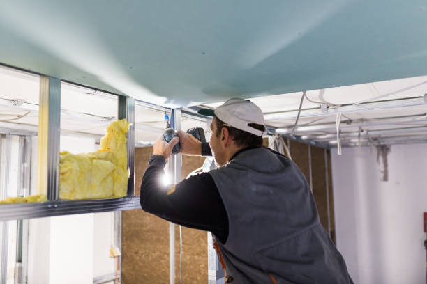 Best Soundproof Insulation Installation  in Ladson, SC