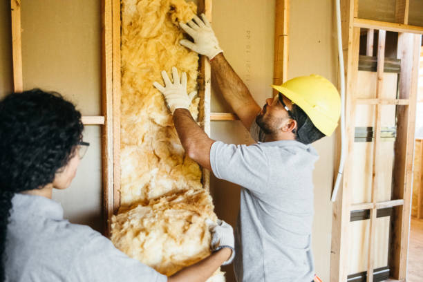Best Attic Insulation Installation  in Ladson, SC
