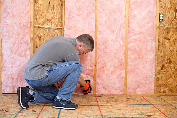Best Garage Insulation Installation  in Ladson, SC