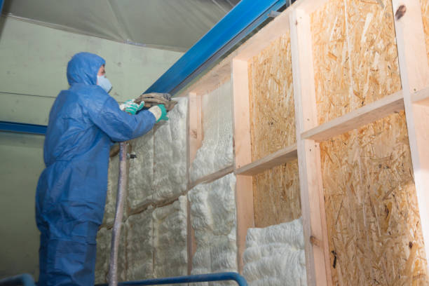 Best Affordable Insulation Services  in Ladson, SC