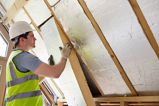 Best Blown-in Insulation  in Ladson, SC