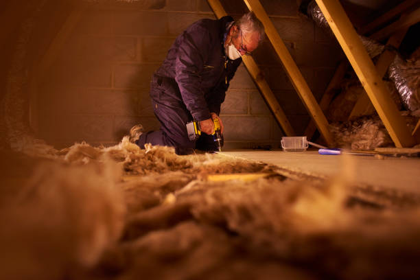 Best Insulation Removal  in Ladson, SC